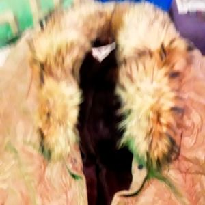 J.Percy Marvin Richards jacket